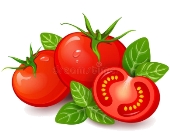 Tomatoes Stock Illustrations – 25,423 Tomatoes Stock Illustrations, Vectors  & Clipart - Dreamstime